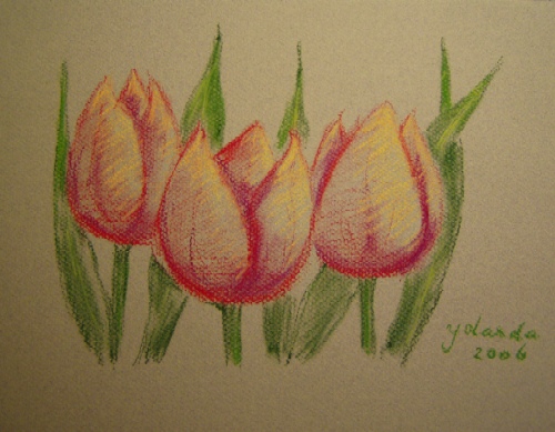 Tulpen in pastel
