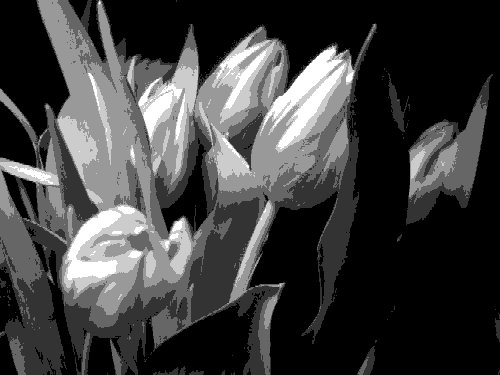 Tulpen, Posterized